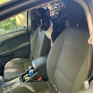 Meet your Posher, Jack